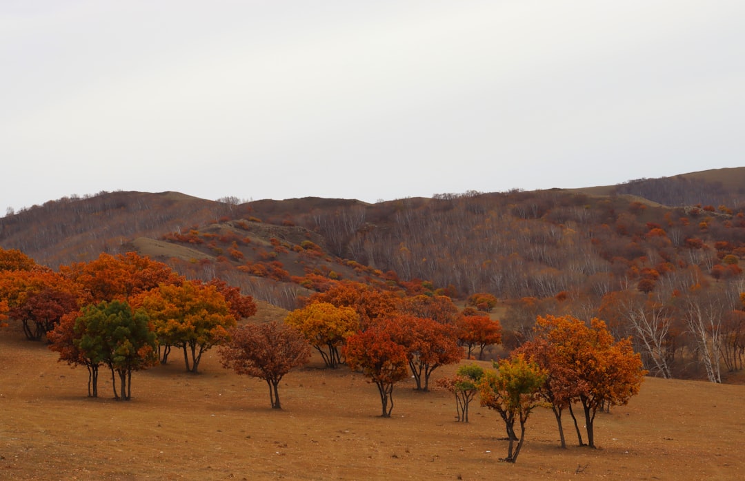 Unconventional Ways to Explore the Great Outdoors